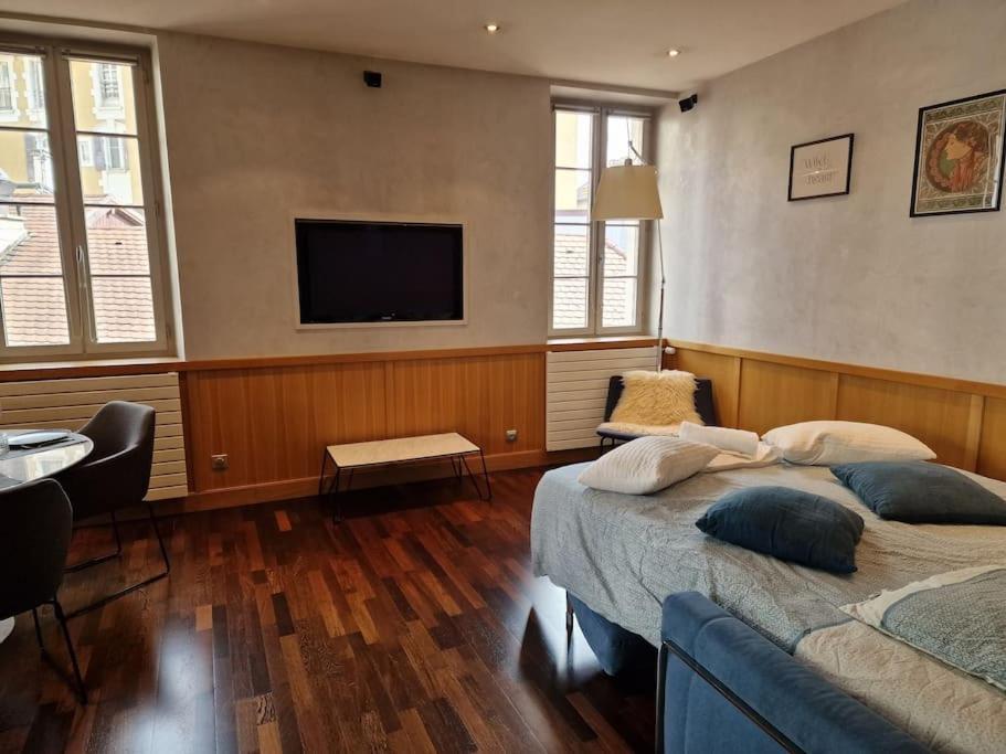 Appartement Annecy Centre Historique Parking Inclus ภายนอก รูปภาพ